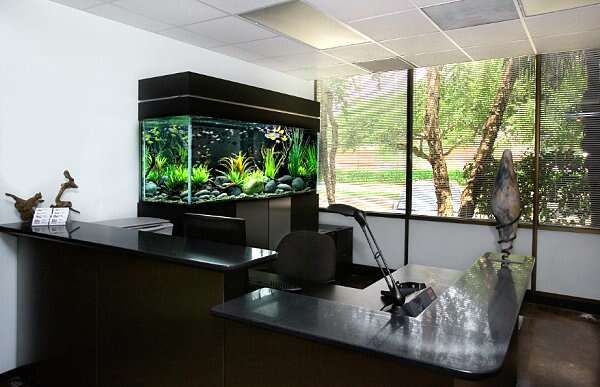 Рабочий кабинет - белые стены и чёрная мебель, аквариум с декорациями
