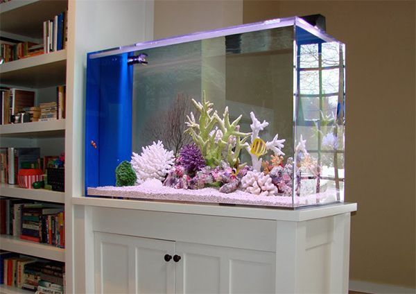 Красивый дизайн аквариума от профессионалов