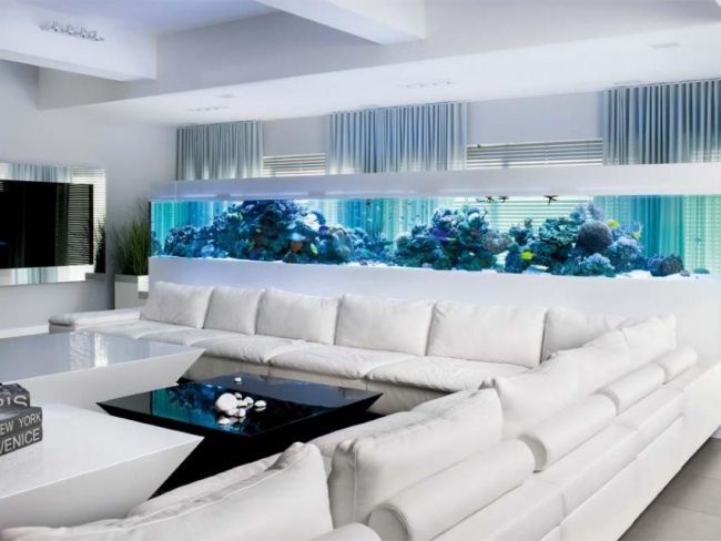Сухой аквариум в интерьере: типы, варианты декораций, фото
